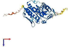 PRPSAP2 Protein (AA 1-369) (His tag)
