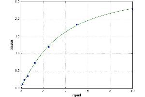 Heat Shock Protein Glycoprotein 96 (HSP gp96) ELISA Kit