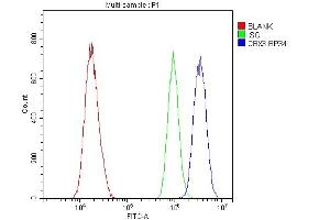 Flow Cytometry analysis of A431 cells using anti-HP1 gamma antibody (ABIN5693033). (CBX3 Antikörper  (AA 2-183))