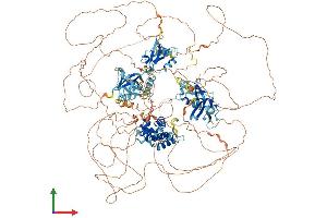 Protein Structure (PS) image for Regulator of G-Protein Signalling 12 (RGS12) (AA 1-1447) protein (His tag) (ABIN7555211)