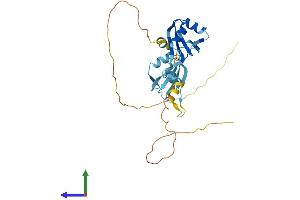 Protein Structure (PS) image for Heterogeneous Nuclear Ribonucleoprotein A/B (HNRNPAB) (AA 1-285) protein (His tag) (ABIN7560289)