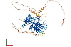 Protein Structure (PS) image for Maelstrom Spermatogenic Transposon Silencer (MAEL) (AA 1-434) protein (His tag) (ABIN7564438)
