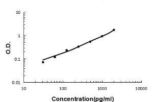 Sandwich ELISA - Recombinant human Elafin/Skalp protein standard curve. (PI3 Antikörper  (AA 61-117))