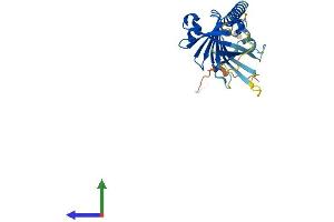 Protein Structure (PS) image for Integral Membrane Protein 2C (ITM2C) (AA 1-269) protein (His tag) (ABIN7559993)