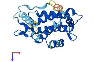 MOBKL2B Protein (AA 1-216) (His tag)