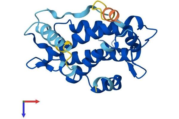 MOBKL2B Protein (AA 1-216) (His tag)