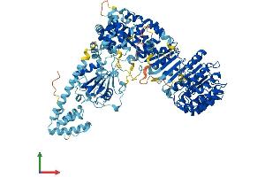 AlphaFold protein structure predicition of Human Recombinant NLRP11 Protein, UniprotID P59045