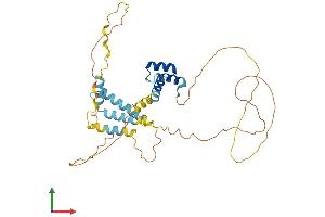 AlphaFold protein structure predicition of Human Recombinant MEIS3P2 Protein, UniprotID A8K0S8 (MEIS3P2 Protein (AA 1-358) (His tag))