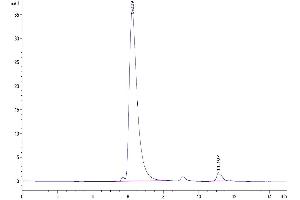Size-exclusion chromatography-High Pressure Liquid Chromatography (SEC-HPLC) image for Tumor Necrosis Factor (Ligand) Superfamily, Member 13b (TNFSF13B) (AA 141-285), (Trimer) protein (His-Avi Tag,DYKDDDDK Tag,Biotin) (ABIN7273909)