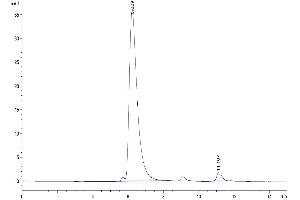 The purity of Biotinylated Cynomolgus BAFF Trimer is greater than 95 % as determined by SEC-HPLC. (BAFF Protein (Trimer) (His-Avi Tag,DYKDDDDK Tag,Biotin))