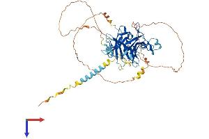 TUB Protein (AA 1-506) (His tag)