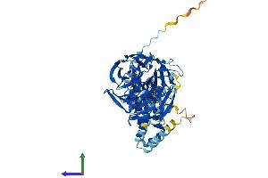 Protein Structure (PS) image for Intracisternal A Particle-Promoted Polypeptide (IPP) (AA 1-584) protein (His tag) (ABIN7563051)