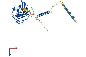 GLIPR1L2 Protein (AA 1-344) (His tag)