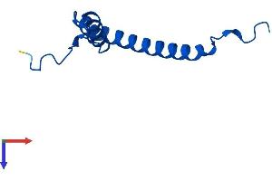 MRPS21 Protein (AA 1-87) (His tag)