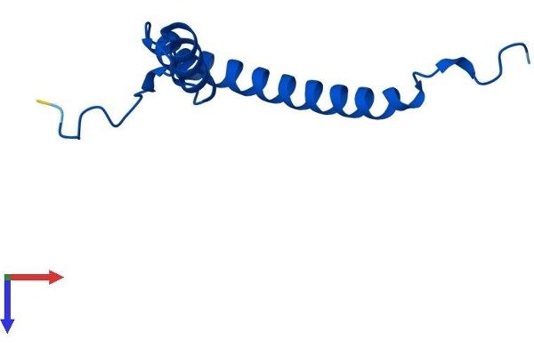 MRPS21 Protein (AA 1-87) (His tag)