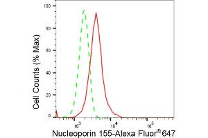Flow cytometric analysis of Nucleoporin 155 expression in HepG2 cells using Nucleoporin 155 antibody (ABIN7799675), 1:2,000). (Rekombinanter NUP155 Antikörper)