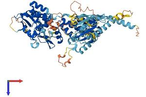 RHOBTB3 Protein (AA 1-611) (His tag)