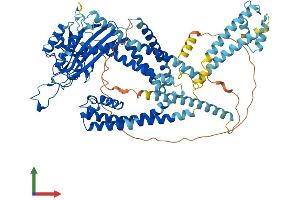 AlphaFold protein structure predicition of Mouse Recombinant Pkd2l1 Protein, UniprotID A2A259 (PKD2L1 Protein (AA 1-760) (His tag))