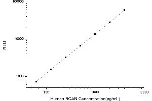 Typical standard curve (BCAN CLIA Kit)