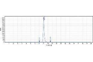The purity of Anti-CD19 Reference Antibody (tafasitamab) is 98.