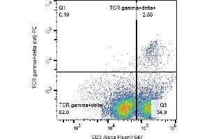 Flow cytometry analysis (surface staining) of TCR gamma/delta in rat peripheral blood with anti-TCR gamma/delta (V65) PE. (TCR gamma/delta Antikörper  (PE))