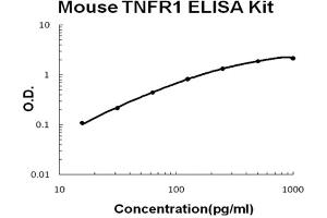 ELISA image for Tumor Necrosis Factor Receptor Superfamily, Member 1A (TNFRSF1A) ELISA Kit (ABIN6719840)