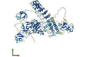 Protein Structure (PS) image for Mindbomb E3 Ubiquitin Protein Ligase 1 (MIB1) (AA 1-1006) protein (His tag) (ABIN7554588)
