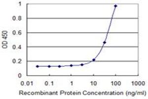 Detection limit for recombinant GST tagged EOMES is 3 ng/ml as a capture antibody. (EOMES Antikörper  (AA 461-569))