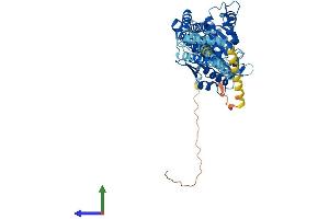 Protein Structure (PS) image for Atlastin GTPase 1 (ATL1) (AA 1-558) protein (His tag) (ABIN7558613)