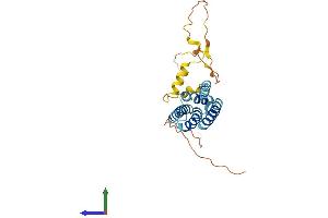 AlphaFold protein structure predicition of Human Recombinant YIPF5 Protein, UniprotID Q969M3