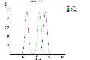 Flow Cytometry analysis of A549 cells using anti- Bid antibody (ABIN7599062). (BID Antikörper  (AA 1-195))