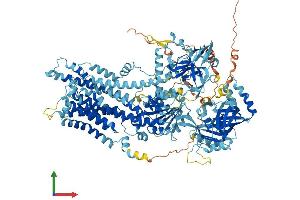 Protein Structure (PS) image for ATPase, Class I, Type 8B, Member 1 (ATP8B1) (AA 1-1251) protein (His tag) (ABIN7552399)
