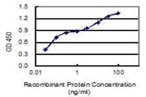 Detection limit for recombinant GST tagged AMPD2 is 0. (AMPD2 Antikörper  (AA 86-185))
