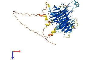 DCAF12L1 Protein (AA 1-463) (His tag)