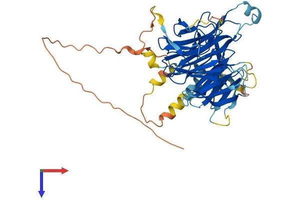 DCAF12L1 Protein (AA 1-463) (His tag)