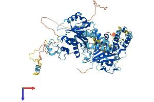 RAD54L Protein (AA 1-747) (His tag)