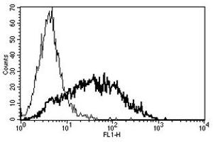 Flow Cytometry (FACS) image for anti-Interleukin 2 Receptor, alpha (IL2RA) antibody (ABIN1106138) (CD25 Antikörper)