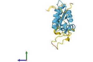 Protein Structure (PS) image for Ribosomal Protein L12 (RPL12) (AA 1-165) protein (His tag) (ABIN7563193)