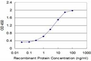 Detection limit for recombinant GST tagged CBS is approximately 0. (CBS Antikörper  (AA 1-100))