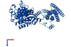 FTCD Protein (AA 1-541) (His tag)