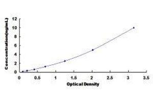 Frizzled Family Receptor 1 (Fzd1) ELISA Kit