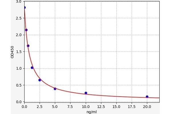 Kv2.2 ELISA Kit