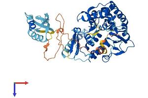 Tryptophan Hydroxylase 2 Protein (TPH2) (AA 1-490) (His tag)