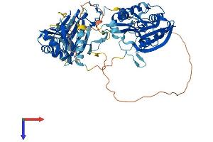 ALKBH8 Protein (AA 1-664) (His tag)