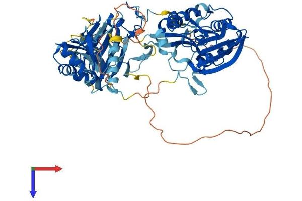 ALKBH8 Protein (AA 1-664) (His tag)