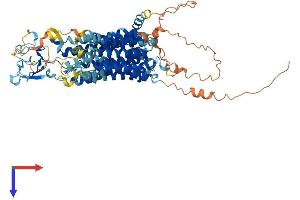 Solute Carrier Organic Anion Transporter Family, Member 3A1 (SLCO3A1) (AA 1-710) protein (His tag)