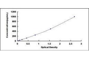 ELISA image for Glypican 4 (GPC4) ELISA Kit (ABIN431867)