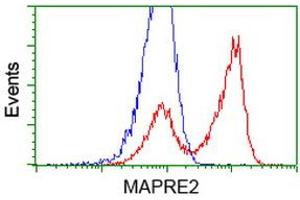 HEK293T cells transfected with either RC200259 overexpress plasmid (Red) or empty vector control plasmid (Blue) were immunostained by anti-MAPRE2 antibody (ABIN2454544), and then analyzed by flow cytometry. (MAPRE2 Antikörper)