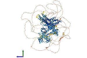 Protein Structure (PS) image for Dynamin Binding Protein (DNMBP) (AA 1-1577) protein (His tag) (ABIN7553695)