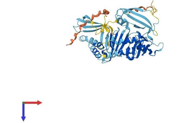 ZNF259 Protein (AA 1-459) (His tag)